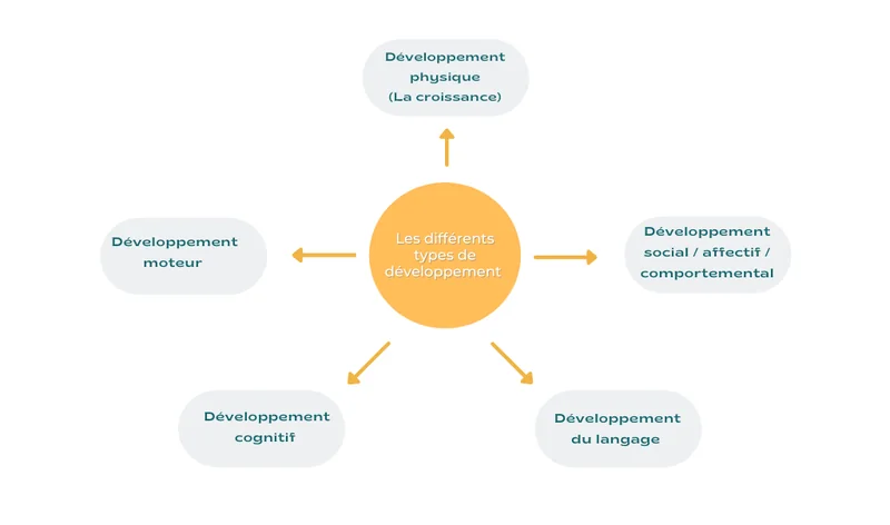 les différents types de developpement de l'enfant