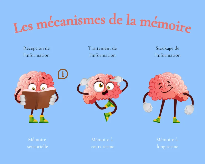 techniques améliorer mémoire