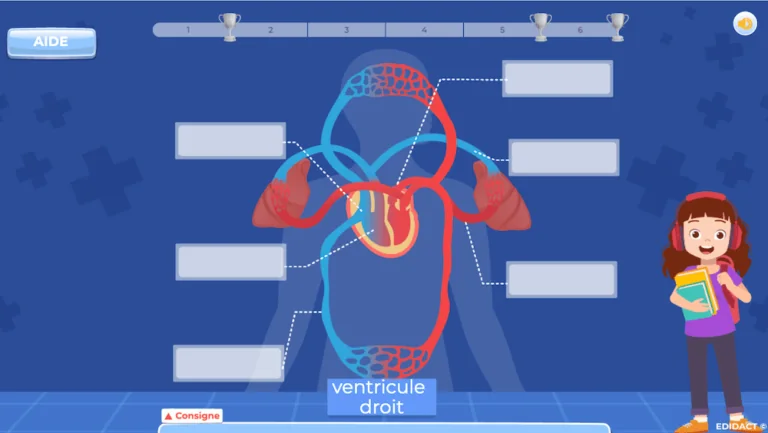 activités en ligne pour apprendre les sciences